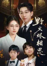 野火烬相思